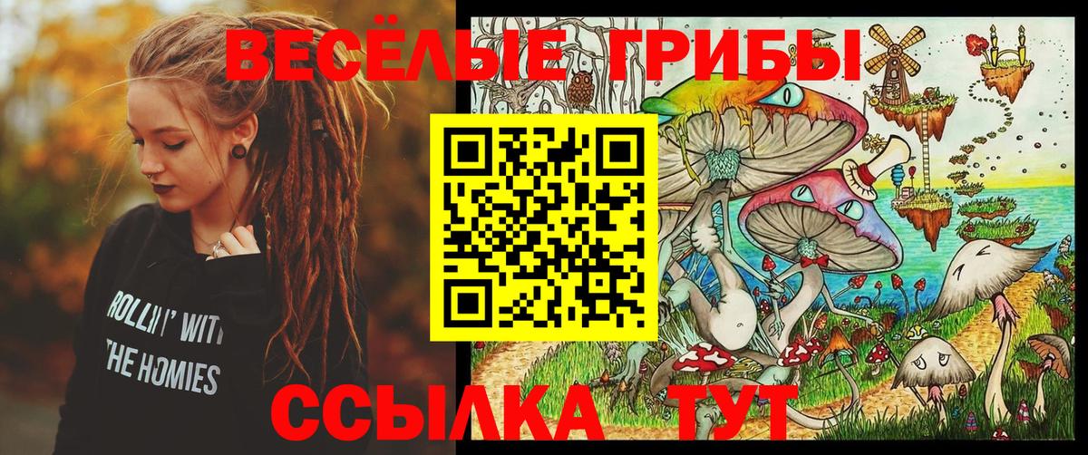 Салават  Псилоцибиновые грибы мицелий  Вход с VPN  Галлюциногенные грибы ЛСД 
